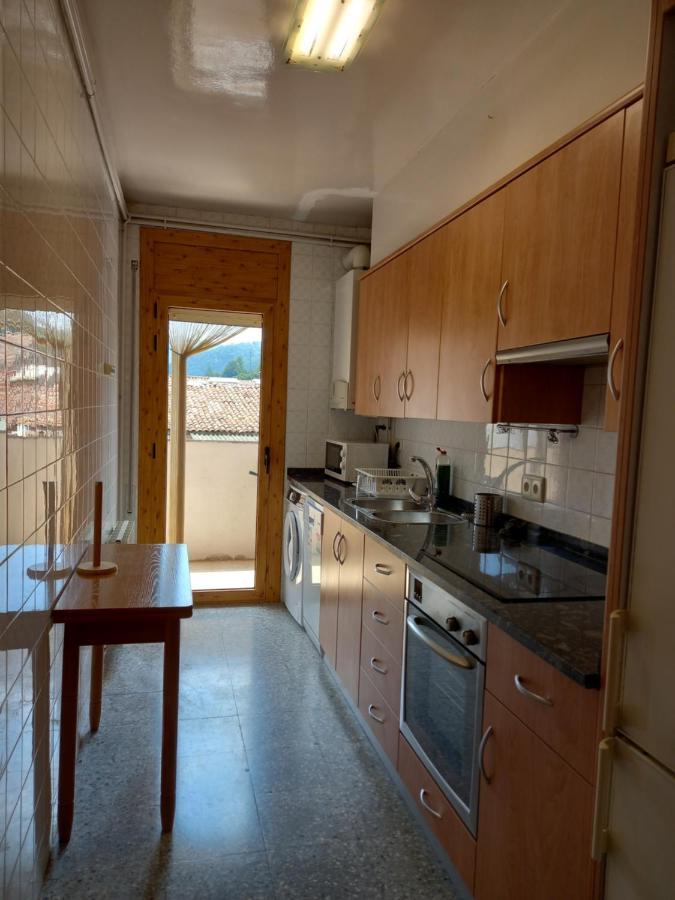 Appartement Pis Acollidor Amb Llar De Foc, Al Centre Camprodon