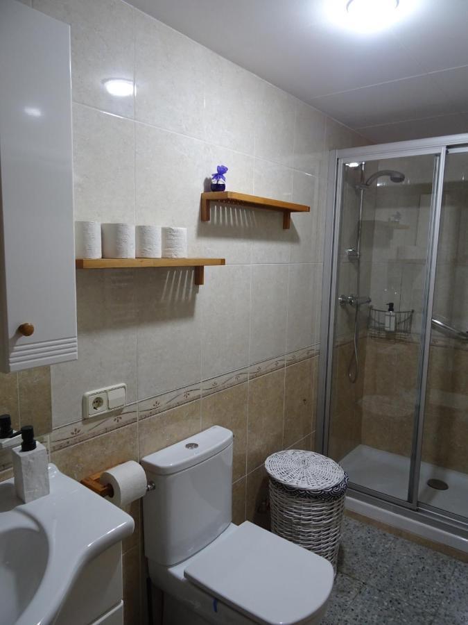 Appartement Pis Acollidor Amb Llar De Foc, Al Centre Camprodon